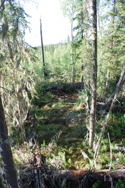 Photo taken by Colin B. Anthony