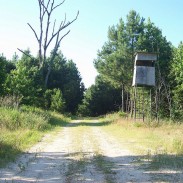 Deer Stand