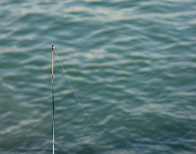 fishing line