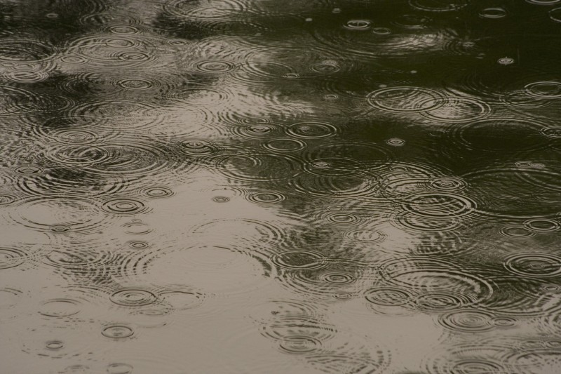 rain