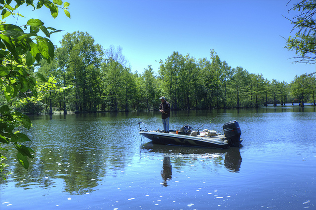 Out fishing. Photo: finchlake2000