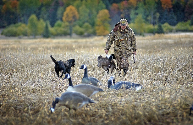 Michigan Small Game Hunter