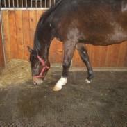 Rubber stable matting in action