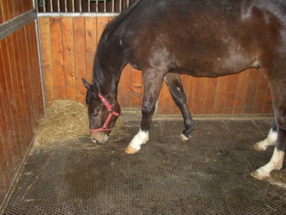 Rubber stable matting in action