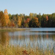 A lake in fall. Photo: Jim Sorbie