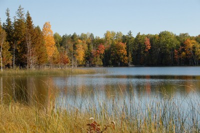A lake in fall. Photo: Jim Sorbie