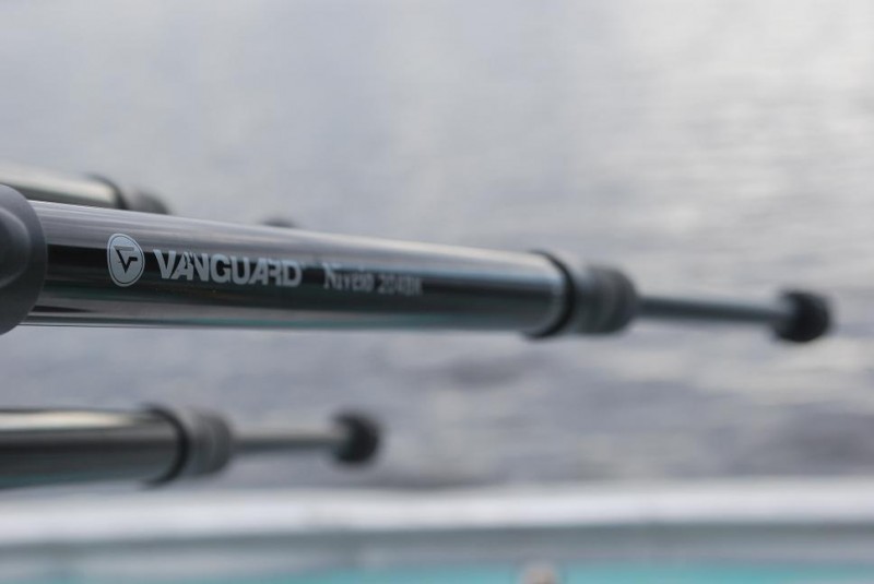 Vanguard 2