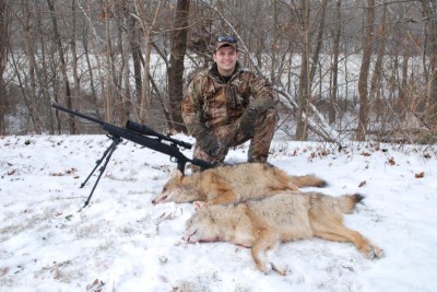 Coyote hunting can be a great way to fill in the gaps between hunting seasons. Many states allow coyote hunting all year long.