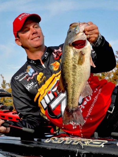 KVD with a catch