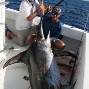 swordfish 1