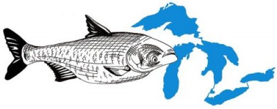 Asian Carp Invade the Great Lakes