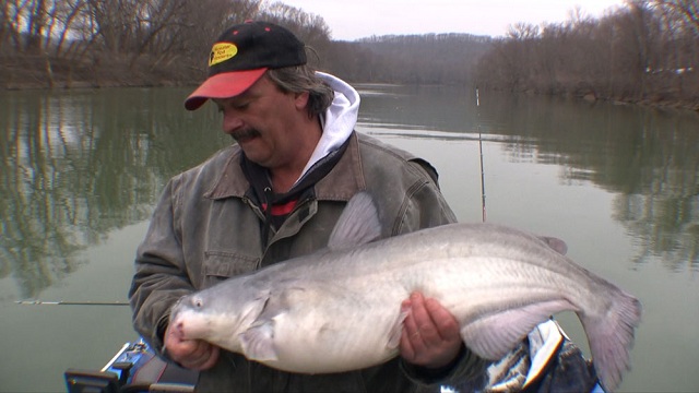 Author with a catfish