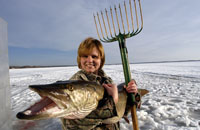 Spear Fishing