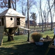 Backyard Playground