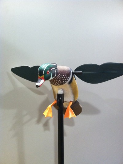 mojo duck