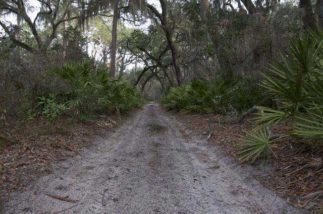 Cumberland Island