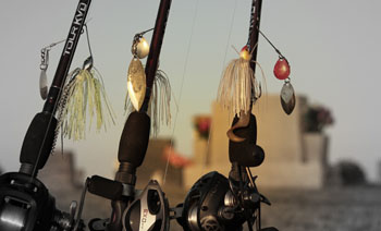 Spinnerbaits at rest
