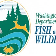 Washington Department of Fish and Wildlife