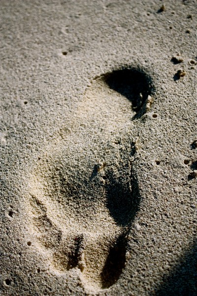 Footprint
