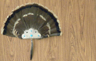 HOW-TO-AGE-SPRING-TOM-TURKEYS_frontimagecrop