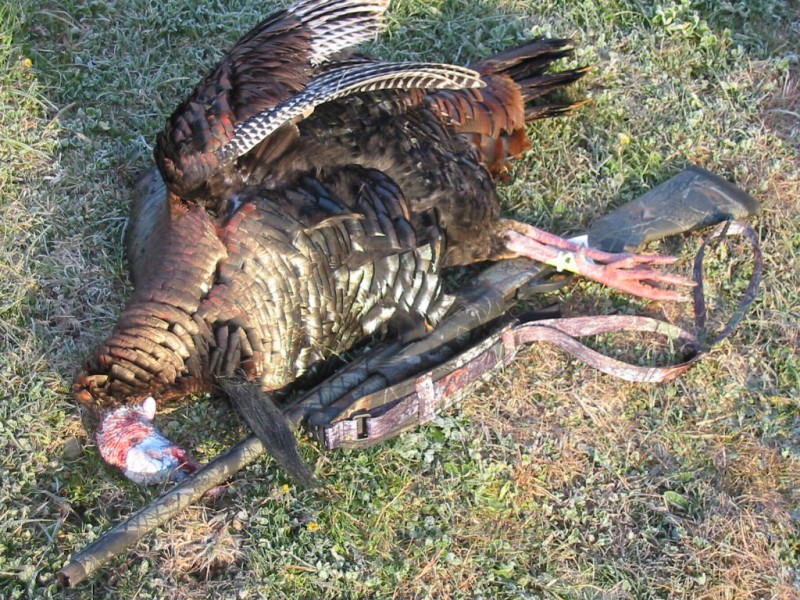 Another picture of the tom