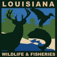 Louisiana Department of Wildlife and Fisheries
