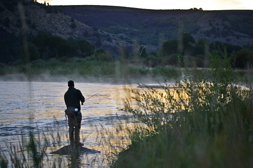 SFL-RiverFisher