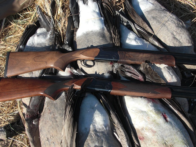 Webley and Scott shotguns with a limit of waterfowl