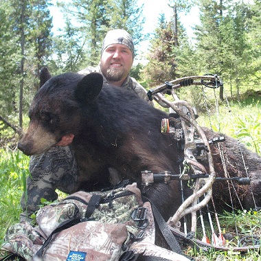 bear bait 1