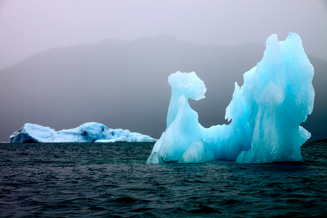 Prince William Sound