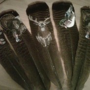 feathers