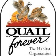 quail forever logo