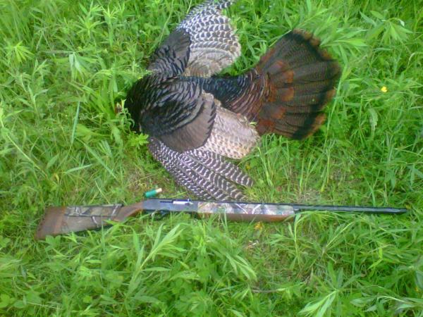 2012turkey