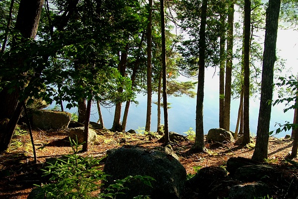 Nature and the Pursuit of Life