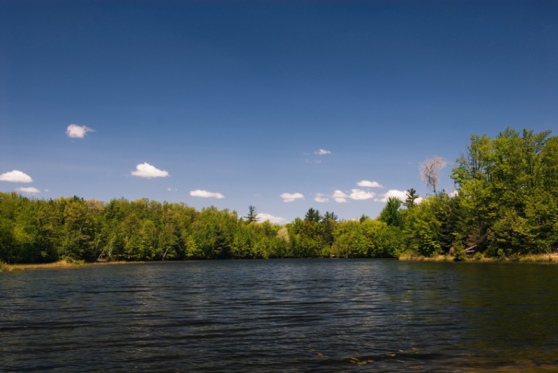 Summer Lake Scene #1
