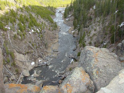 Gibbon River just below Gibbon Falls in Yellowstone National Park