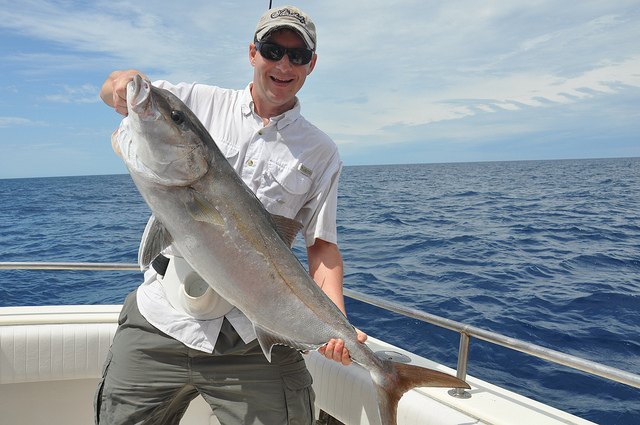 Amberjack