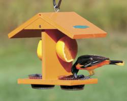 Duncraft's Eco-Oriole Fruit and Jelly Feeder