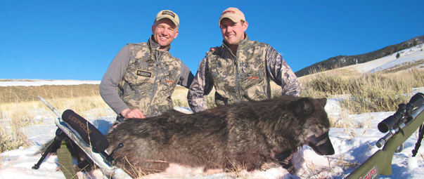 NewbergWolf603x255