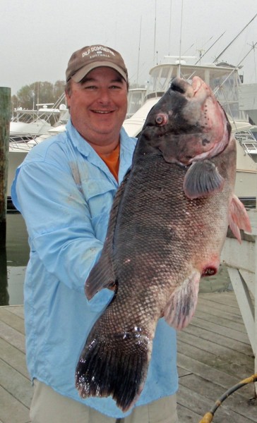 Record Tautog caught by Dr. Ken Neill