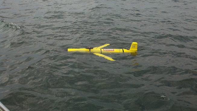 Slocum glider