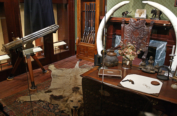 The Teddy Roosevelt Collection