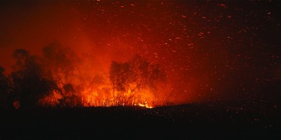 Wildfire