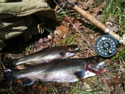 These brook trout were caught by fly-fishing a remote New Hampshire pond. (Steve Hickoff photo)