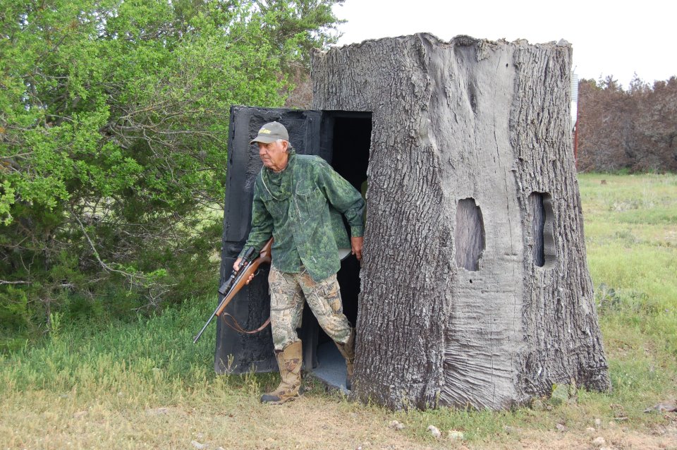 nature blinds imitate a tree stump stump unsuspecting nature blinds imitate a tree stump stump unsuspecting