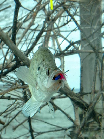 hot summer crappie fishing