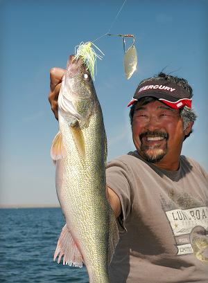 Ted Takasaki is all smiles as he holds up a dandy walleye caught during practice for the South Dakota Governor’s Cup on Lake Oahe. He and partner Jammie Koepp worked out the championship pattern, using white and chartreuse Booyah spinnerbaits (normally considered bass lures), trolled through submerged tree tops.