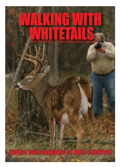 walkingwithwhitetails 2