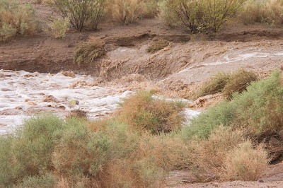 Flash flood