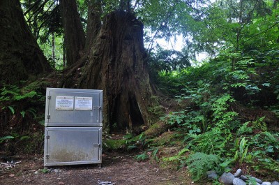 Bear locker